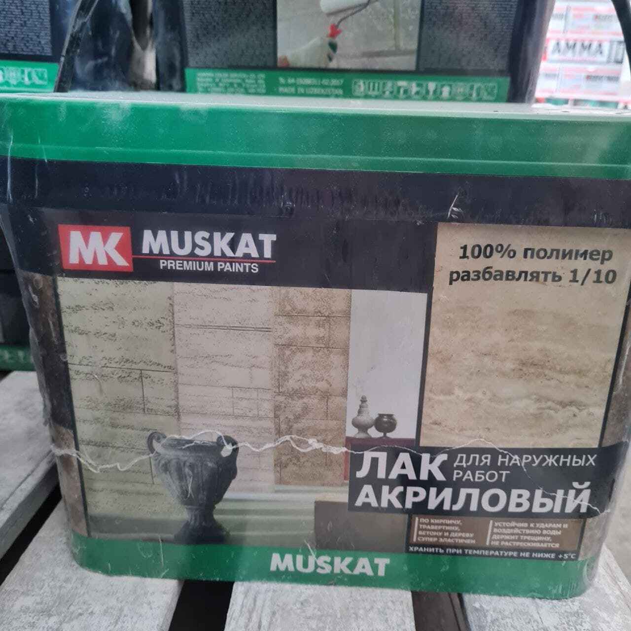 Лаки на основе сложных полиэфиров, акриловых или виниловых полимеров ...